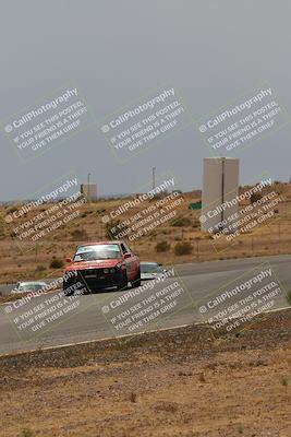 media/May-03-2025-Lucky Dog Racing (Sat) [[206de64b9d]]/Turn 6 (150pm-230pm)/